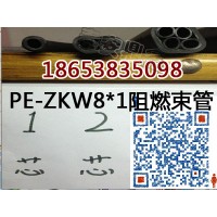 PE-ZKW10*1厂家销售阻燃抗静电束管