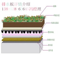 全国配送屋顶绿化阻根板+保质保量高层绿化排水板