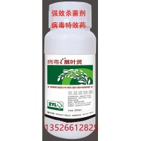 冬季大棚蔬菜黄瓜花叶病毒病专用药番茄卷叶病毒快速治愈