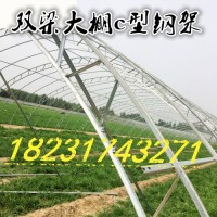 吉林双膜大棚c型钢架建筑大棚