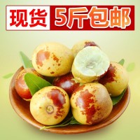 陕西特产大荔冬枣 特大冬枣 五斤包邮