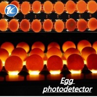 鸡蛋光检机的种类价格以及价位