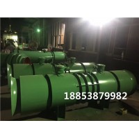 FBD№5.0/2*7.5kw压入式风机中的臻选尖货