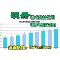 专业注册海南电子竞技公司营业执照