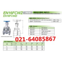 EN16FCWZ闸阀KITZ北泽_EN16FCW法兰闸阀