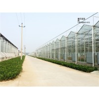 新疆智能玻璃温室建设 高端温室大棚建设 高科技智能玻璃温室