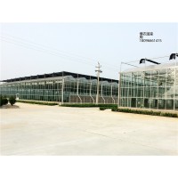 供应新疆玻璃温室整体方案设计 玻璃温室工程承接