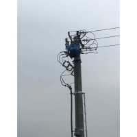 南宁市FZW28-12户外分界真空负荷开关厂家