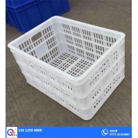 广东吴川塑料胶筐 塑料胶箩 胶箱物流运输框批发