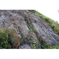 四川GPS2主动防护网价格-四川rx主动防护网厂家
