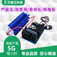 山东万格立5G/H污水废水处理消毒空间净化杀菌臭氧发生器配件设备