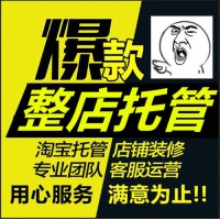 唯品淘怎么样 宝翔电商