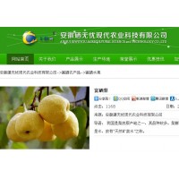 富硒梨价格富硒梨营养价值富硒梨种植技术富硒酥梨
