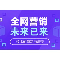 盐城网站app开发建设方案