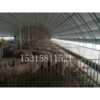 全封闭畜牧温室鸡棚 猪场自动化温室大棚 拱形温室大棚 农业养殖大棚