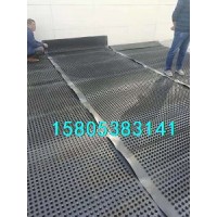 【推荐】车库排水板/大连排水板价格介绍