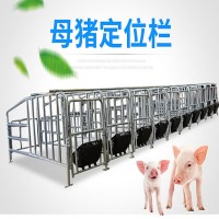 建华养殖×单体母猪产床 养猪设备 热镀锌管单体母猪产床
