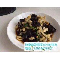 水培花生芽最新催芽技术-益康园芽苗菜