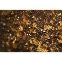 铂思特金矿的提取技术,从含金氰渣中提取金精矿的生产工艺