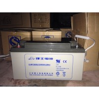 LEOCH理士蓄电池DJM1265S 12V65AH 直流屏UPS电源EPS专用