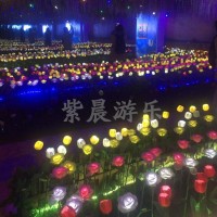 紫晨游乐