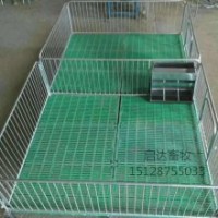 厂家直销 猪保育床 仔猪保育栏小猪用保育床养猪设备母猪产床