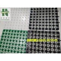 现货-秦皇岛2公分蓄排水板地下室塑料排水层