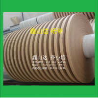 鑫山达专业生产——电镀纸带 载带专用纸带 冲压纸带