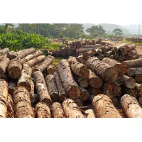 木材进口报关费用怎么收取