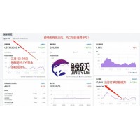 跨境电商独立站实操孵化shopify运营咨询