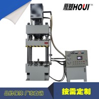 厂家直销200吨鱼饵压块成型机 粉末压块机 全自动成型液压机