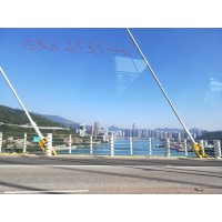 奇兔直播