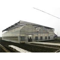 薄膜温室报价 连栋薄膜温室大棚 鑫德温室