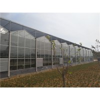 新型阳光板温室设计 种植阳光板温室大棚定制