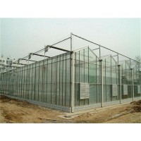 种植型玻璃温室 玻璃连栋温室报价 智能大棚供应