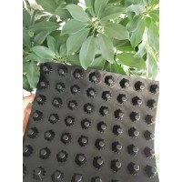 供应贵州防根刺排水板绿化蓄排水板