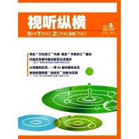 视听纵横