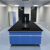 实验室工作台PP边台全钢中央台钢木化学物理试验室桌子可定制安装