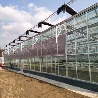 阳光板温室大棚 安装阳光板大棚 花卉温室建设