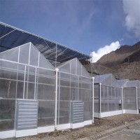 阳光板温室 连栋阳光板温室大棚设计 阳光板温室造价
