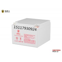 金武士PV12V24AH蓄电池12V24AH电瓶价格报价产品