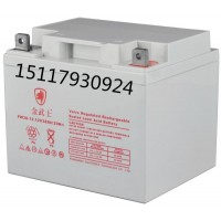 金武士PW38-12蓄电池12V38AH电瓶价格产品报价