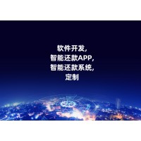 软件APP专业还款系统开发代还系统定制公司