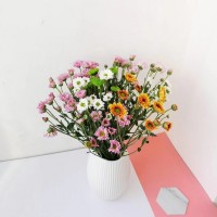 小雏菊鲜切花鲜花团购社区团购云南鲜花基地鲜花批发