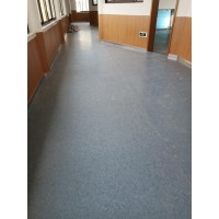 福建福州市尚诺展厅耐污石塑地板