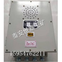 山西矿用广播装置现货价,隔爆型矿用广播装置