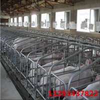 养猪设备 复合板保育床 仔猪保育床 复合板保育栏