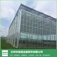 玻璃大棚智能温室-智能玻璃温室大棚-青州德源