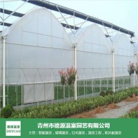 品质优的薄膜连栋温室大棚承建商-青州德源