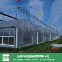 阳光板温室大棚生产商-青州德源-欢迎咨询